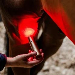 Accessoires De Massages*Horseware - Lampe thérapie lumière rouge LED Noir