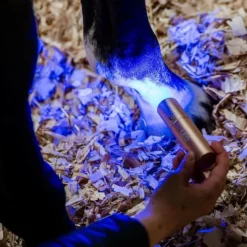 Accessoires De Massages*Horseware - Lampe thérapie lumière rouge LED Noir