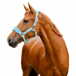 Licols Poneys*Horseware - Licol de pansage Signature Grooming blue haze Bleu