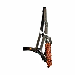 Licols Poneys|Ensembles Licols Et Longes*Horseware - Licol et longe Newmarket witney gold Jaune