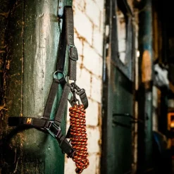 Licols Poneys|Ensembles Licols Et Longes*Horseware - Licol et longe Newmarket witney gold Jaune