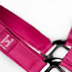 Licols Poneys|Ensembles Licols Et Longes*Horseware - Licol et longe Newmarket witney pink Rose