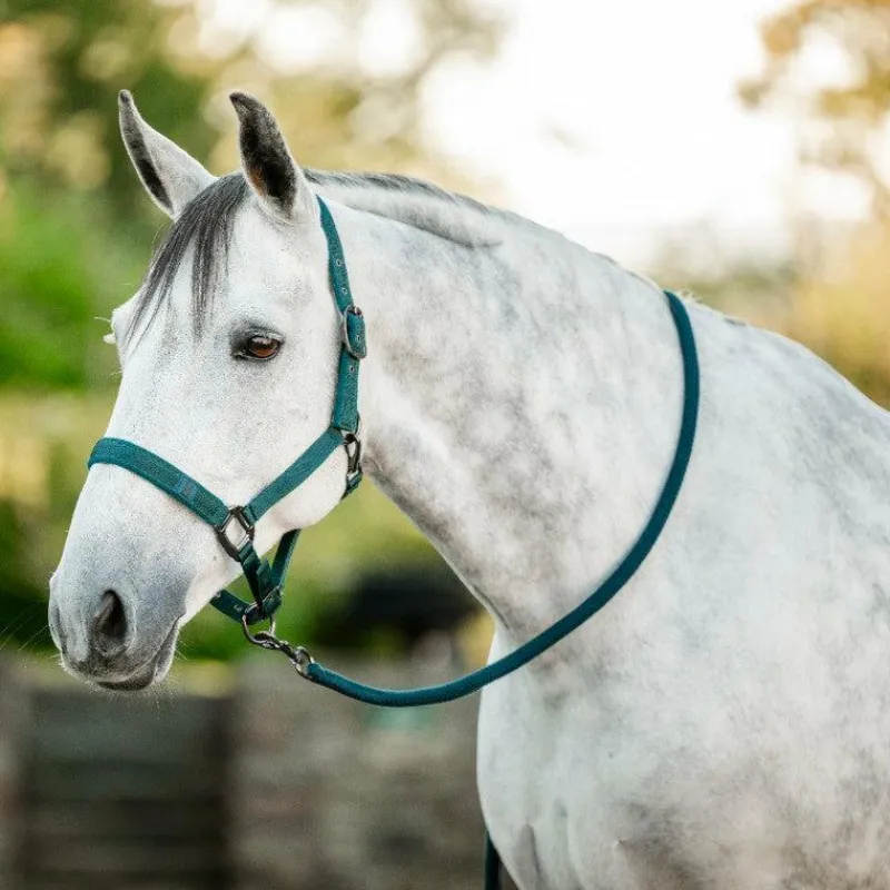 Ensembles Licols Et Longes*Horseware - Licol et longe dynasty green Vert