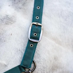 Ensembles Licols Et Longes*Horseware - Licol et longe dynasty green Vert