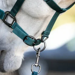 Ensembles Licols Et Longes*Horseware - Licol et longe dynasty green Vert