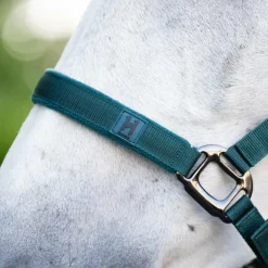 Ensembles Licols Et Longes*Horseware - Licol et longe dynasty green Vert