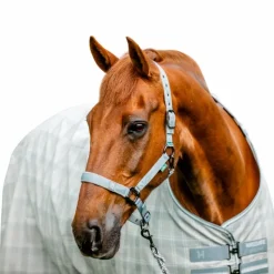 Licols Poneys|Ensembles Licols Et Longes*Horseware - Licol et longe Newmarket witney charcoal Gris