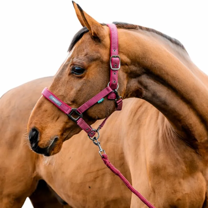 Licols Poneys|Ensembles Licols Et Longes*Horseware - Licol et longe Amigo mulberry Rouge