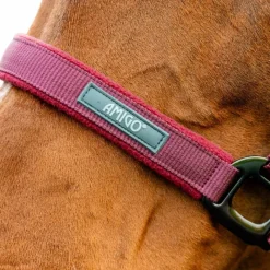 Licols Poneys|Ensembles Licols Et Longes*Horseware - Licol et longe Amigo mulberry Rouge