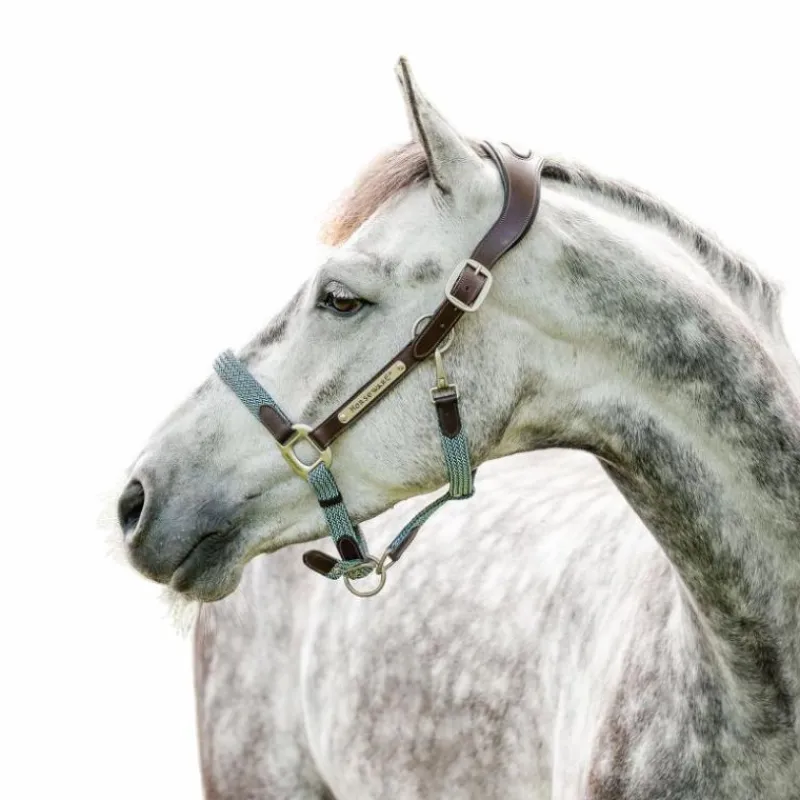 Licols Poneys*Horseware - Licol pour chevaux Signature Tressé marron/ marine/ blue haze Bleu