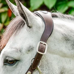 Licols Poneys*Horseware - Licol pour chevaux Signature Tressé marron/ marine/ blue haze Bleu