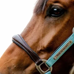 Licols Poneys*Horseware - Licol pour chevaux Signature Competition / blue haze Marron