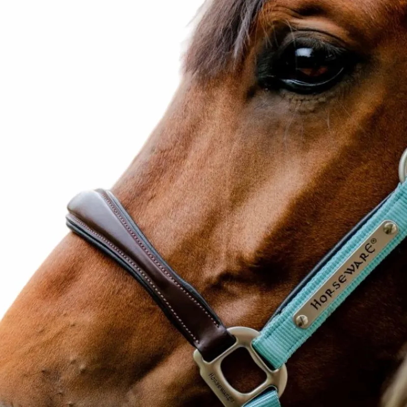 Licols Poneys*Horseware - Licol pour chevaux Signature Competition / blue haze Marron