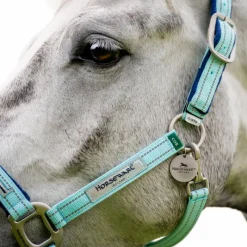 Online - Licol spécial pâturage Field Safe blue haze Licols Poneys