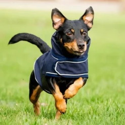 Clearance - Manteau imperméable pour chiens Signature 0g Manteaux
