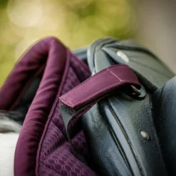 - Tapis de dressage Alessandro Albanese Performance primatova Dressage|Tapis De Dressage