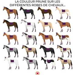 Dressage|Tapis De Selle*Imperial Riding - Tapis de dressage IRHIImperial Ambient Flower Prune