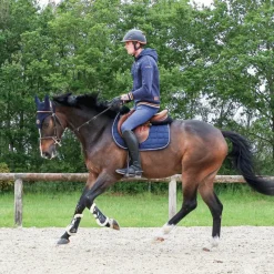 Cso|Bonnets Pour Chevaux*Jump'In - Bonnet One Training court marine