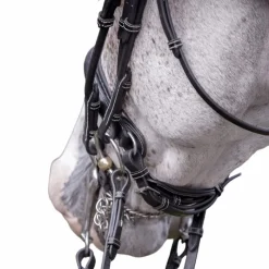 Hunter|Brides*Jump'In - Bride vernie avec rênes