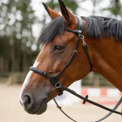 Outlet - Bridon bitless Evolution Bridons