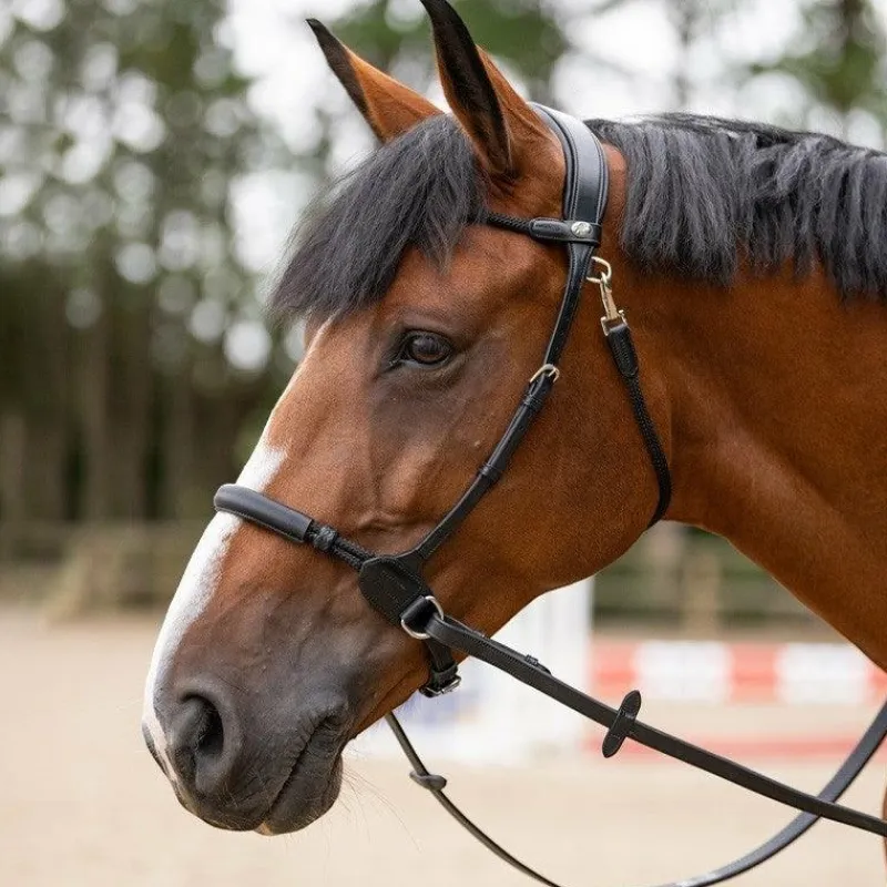 Outlet - Bridon bitless Evolution Bridons