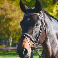 Bridons*Jump'In - Bridon Carat collection One premium Havane