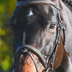 Bridons*Jump'In - Bridon Carat collection One premium Havane