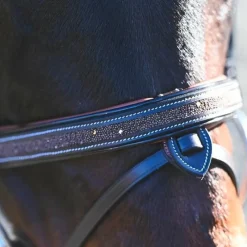 Bridons*Jump'In - Bridon Carat collection One premium Havane