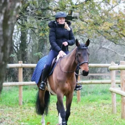 Bridons*Jump'In - Bridon Carat collection One premium / bleu Havane