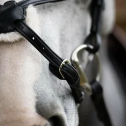 Bridons*Jump'In - Bridon muserolle croisée Evolution Noir