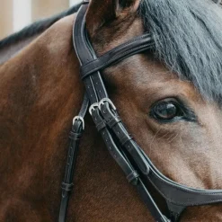 Bridons*Jump'In - Bridon muserolle croisée Evolution noisette Marron