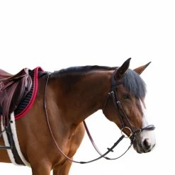 Bridons*Jump'In - Bridon muserolle allemande Evolution havane Marron