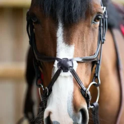 Bridons*Jump'In - Bridon muserolle croisée Evolution havane Marron