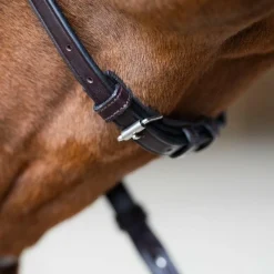 Bridons*Jump'In - Bridon muserolle croisée Evolution havane Marron