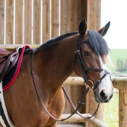 Bridons*Jump'In - Bridon muserolle croisée Evolution havane Marron