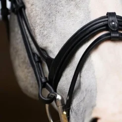 Clearance - Bridon muserolle combinée Evolution Bridons