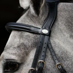 Clearance - Bridon muserolle combinée Evolution Bridons