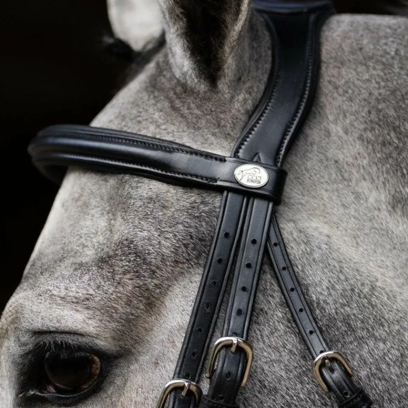 Clearance - Bridon muserolle combinée Evolution Bridons