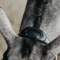 Clearance - Bridon muserolle combinée Evolution Bridons