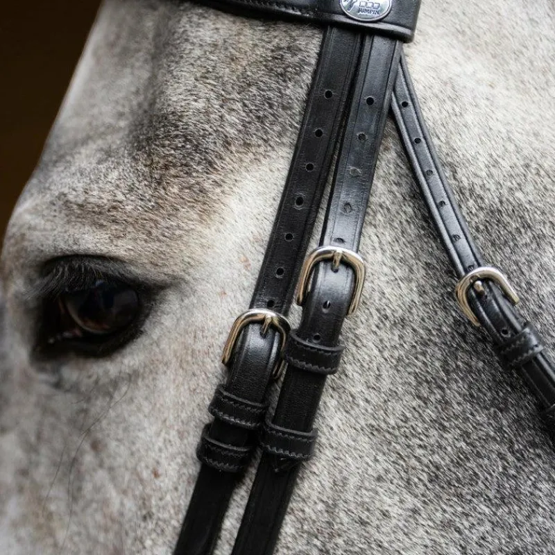 Clearance - Bridon muserolle combinée Evolution Bridons