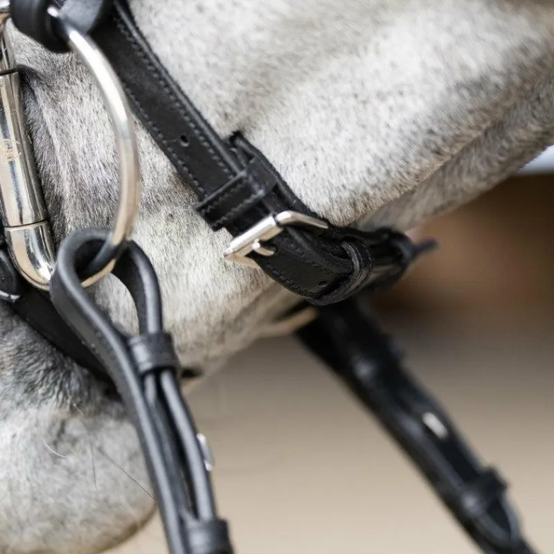 Clearance - Bridon muserolle combinée Evolution Bridons