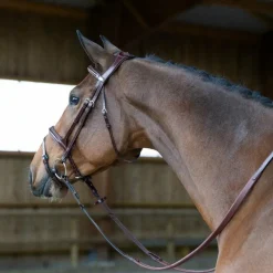 Discount - Bridon muserolle combinée Evolution noisette Bridons