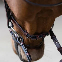 Discount - Bridon muserolle combinée Evolution noisette Bridons