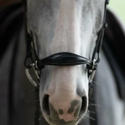 Bridons*Jump'In - Bridon muserolle allemande Evolution Noir