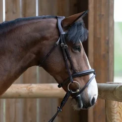 Sale - Bridon muserolle combinée Evolution havane Bridons