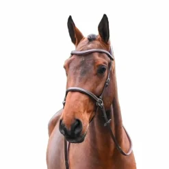 Bridons*Jump'In - Bridon One bitless Noisette