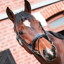 Clearance - Bridon One Bruxelles avec rênes Horseball|Cso