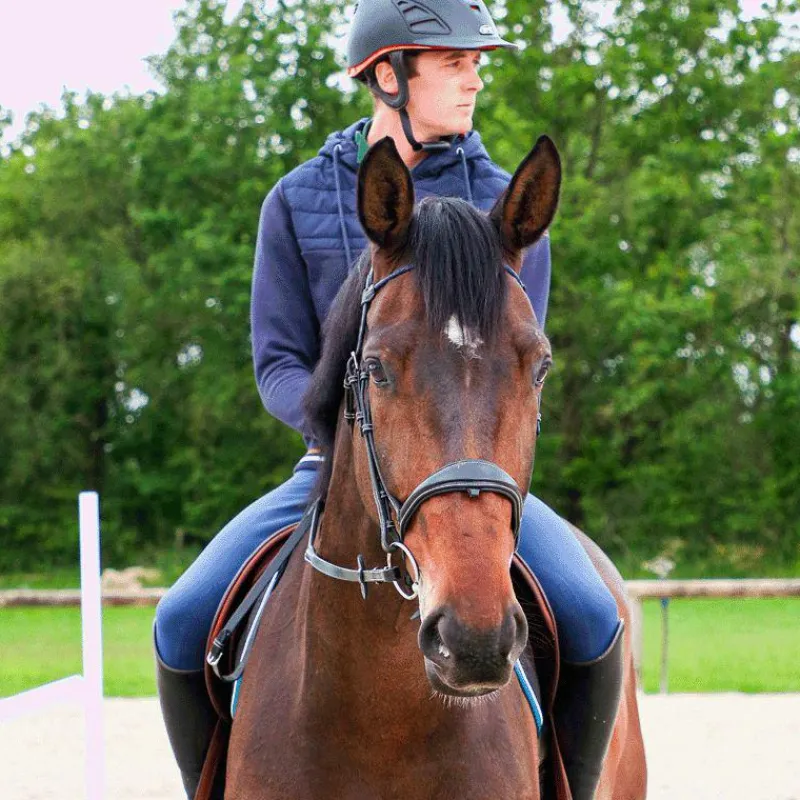 Clearance - Bridon One Bruxelles avec rênes Horseball|Cso