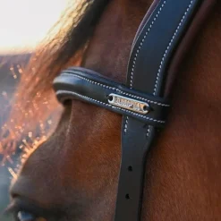 Outlet - Bridon One liberty / acajou Bridons