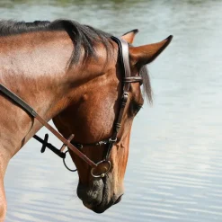 New - Bridon One liberty / noir Bridons